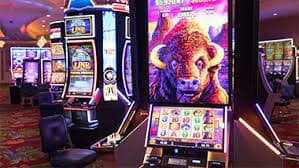 tekbet Live Casino နှင့် Slots